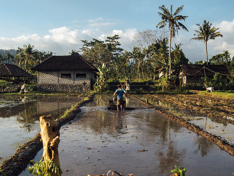 Agricultural Setting 1